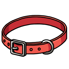 Basic red collar