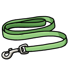 Basic green leash