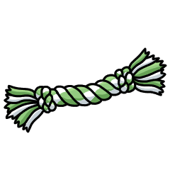 Basic green rope toy