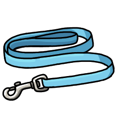 Basic blue leash