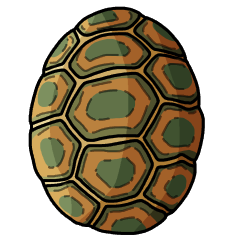Turtle egg