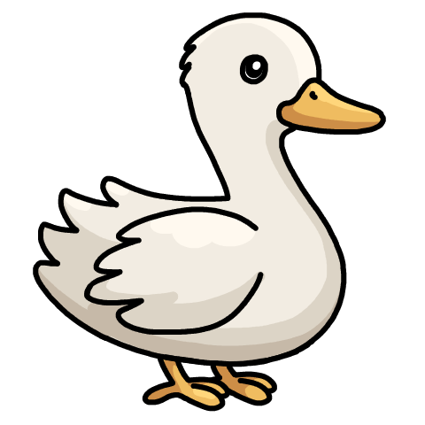 White duck