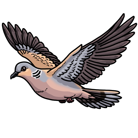 Turtledove